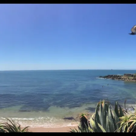 5minutos Do Jardim Ate Ao Mar *