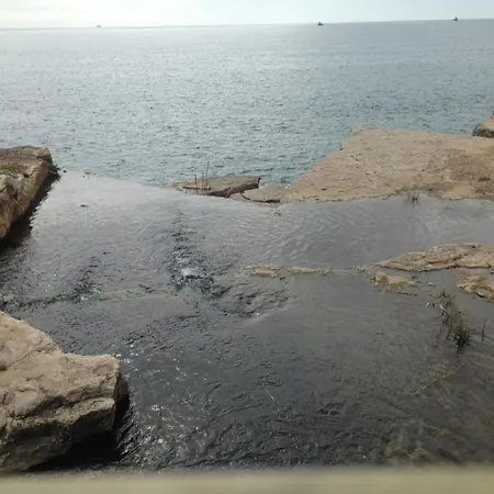 5minutos Do Jardim Ate Ao Mar Пареде