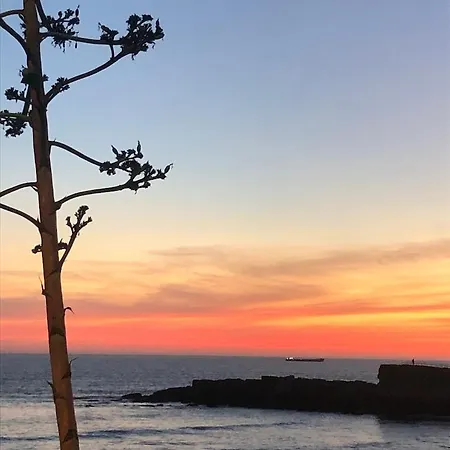 5minutos Do Jardim Ate Ao Mar Guest house *