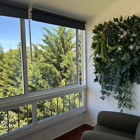 5minutos Do Jardim Ate Ao Mar * פארדס