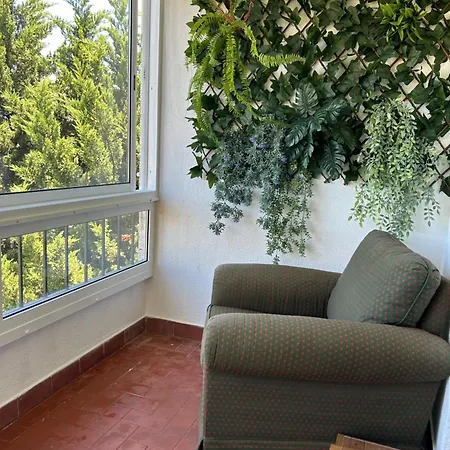 5minutos Do Jardim Ate Ao Mar