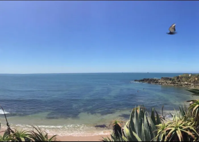 5minutos Do Jardim Ate Ao Mar *