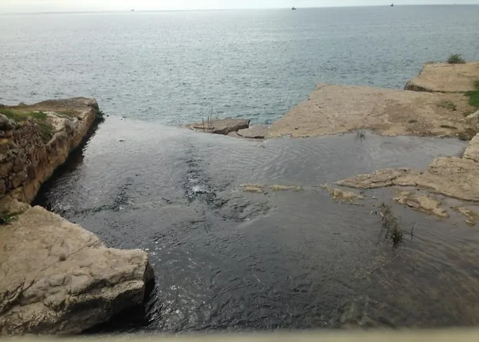 5minutos Do Jardim Ate Ao Mar Parede