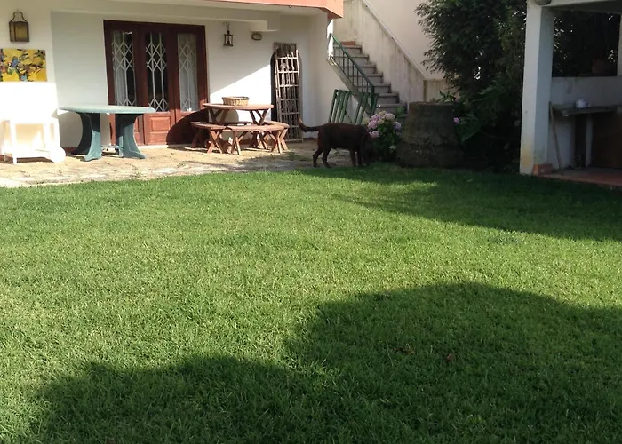 Gæstehus 5minutos Do Jardim Ate Ao Mar Parede