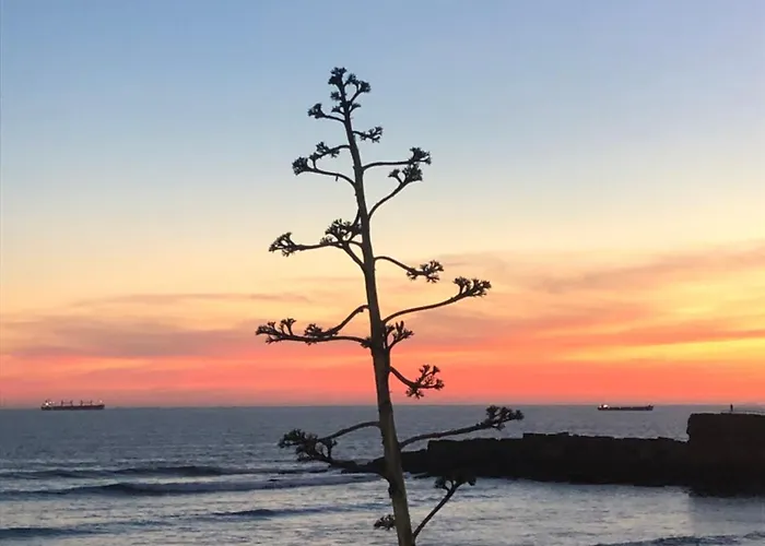 5minutos Do Jardim Ate Ao Mar * Parede