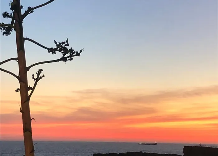 5minutos Do Jardim Ate Ao Mar * Parede